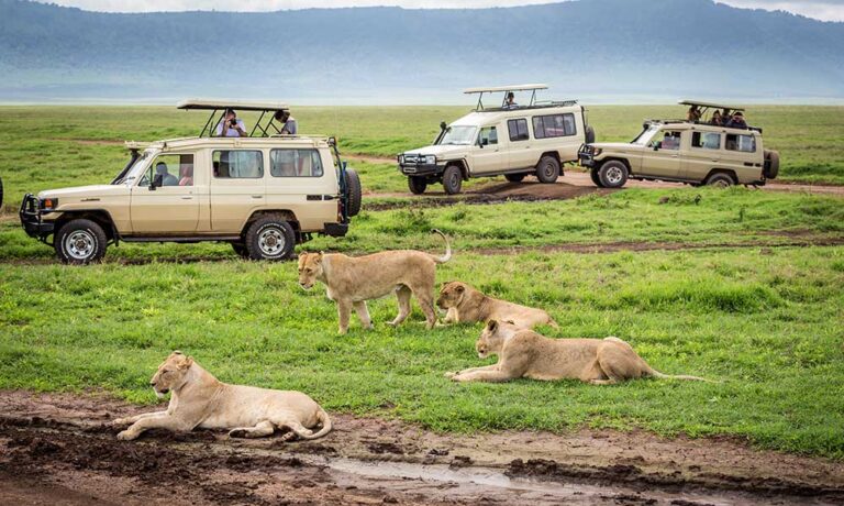 5-Day Luxury Tanzania Safari: Serengeti, Ngorongoro & Tarangire Exclusive Experience