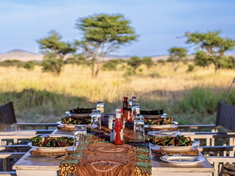 8-Day Tanzania Safari on a Budget: Memorable Wildlife & Scenic Adventure
